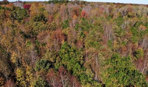 Photo of SOLD!!  25 Acres of Farm and Timber Land For Sale in Halifax County NC!