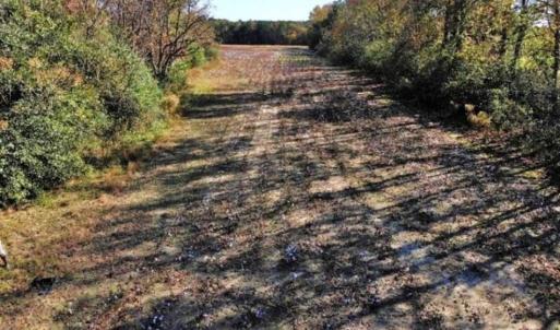 Photo of SOLD!!  25 Acres of Farm and Timber Land For Sale in Halifax County NC!