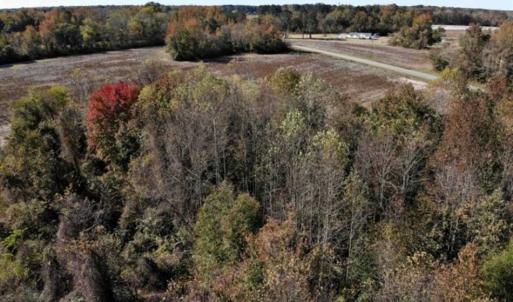 Photo of SOLD!!  25 Acres of Farm and Timber Land For Sale in Halifax County NC!