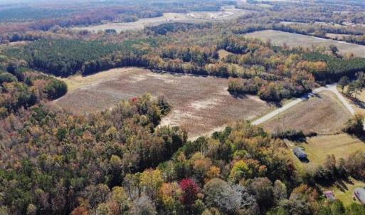 Photo of SOLD!!  25 Acres of Farm and Timber Land For Sale in Halifax County NC!