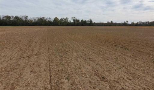 Photo of SOLD!!  13.12 Acres of Farm Land For Sale in Craven County NC!