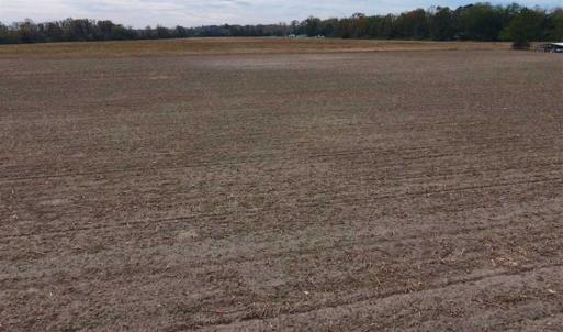 Photo of SOLD!!  13.12 Acres of Farm Land For Sale in Craven County NC!