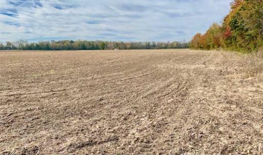 Photo of UNDER CONTRACT!!  90.1 Acres of Farm and Timber Land For Sale in Craven County NC!