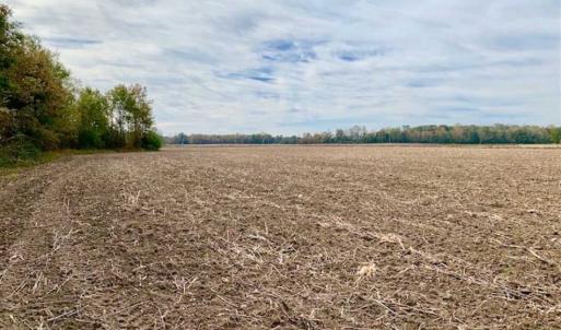 Photo of UNDER CONTRACT!!  90.1 Acres of Farm and Timber Land For Sale in Craven County NC!
