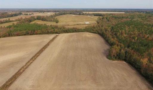 Photo of UNDER CONTRACT!!  90.1 Acres of Farm and Timber Land For Sale in Craven County NC!