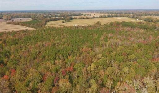 Photo of UNDER CONTRACT!!  90.1 Acres of Farm and Timber Land For Sale in Craven County NC!