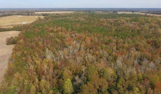 Photo of UNDER CONTRACT!!  90.1 Acres of Farm and Timber Land For Sale in Craven County NC!
