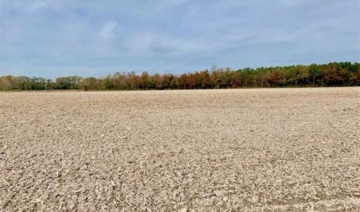 Photo of UNDER CONTRACT!!  90.1 Acres of Farm and Timber Land For Sale in Craven County NC!