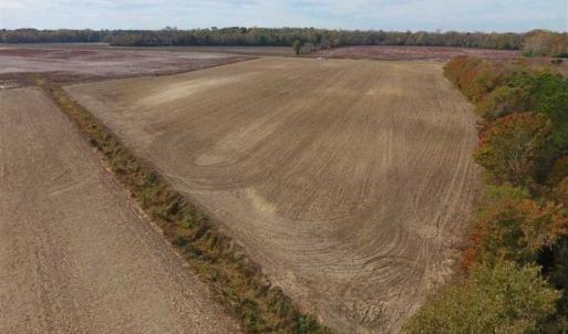 Photo of UNDER CONTRACT!!  90.1 Acres of Farm and Timber Land For Sale in Craven County NC!