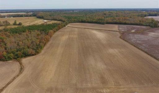 Photo of UNDER CONTRACT!!  90.1 Acres of Farm and Timber Land For Sale in Craven County NC!