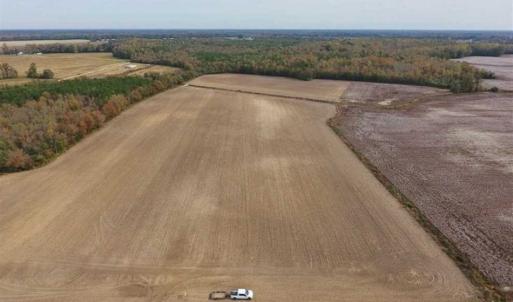 Photo of UNDER CONTRACT!!  90.1 Acres of Farm and Timber Land For Sale in Craven County NC!