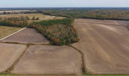Photo of UNDER CONTRACT!!  90.1 Acres of Farm and Timber Land For Sale in Craven County NC!