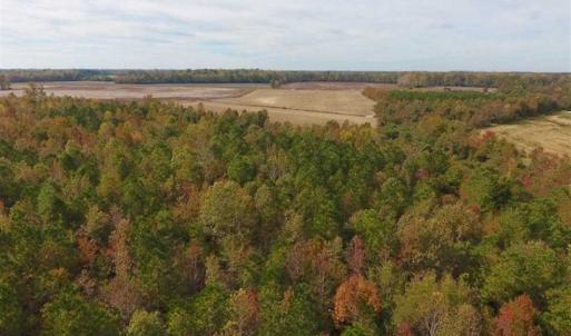 Photo of UNDER CONTRACT!!  90.1 Acres of Farm and Timber Land For Sale in Craven County NC!
