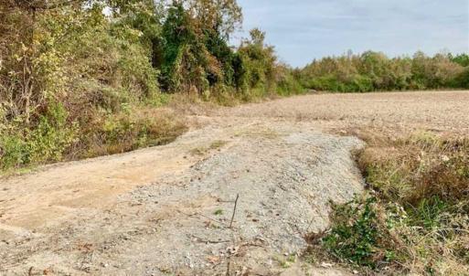 Photo of UNDER CONTRACT!!  90.1 Acres of Farm and Timber Land For Sale in Craven County NC!