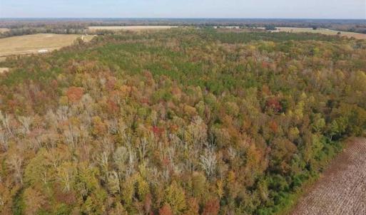Photo of UNDER CONTRACT!!  90.1 Acres of Farm and Timber Land For Sale in Craven County NC!