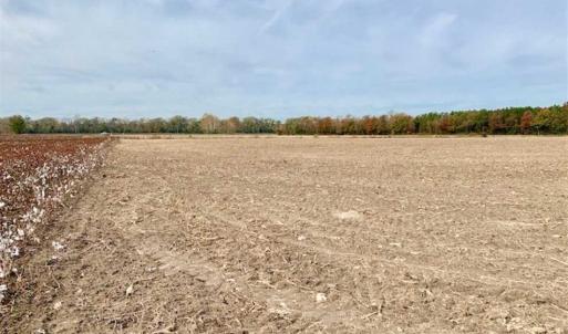 Photo of UNDER CONTRACT!!  90.1 Acres of Farm and Timber Land For Sale in Craven County NC!
