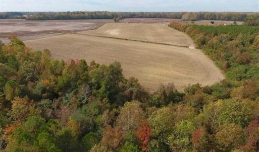 Photo of UNDER CONTRACT!!  90.1 Acres of Farm and Timber Land For Sale in Craven County NC!