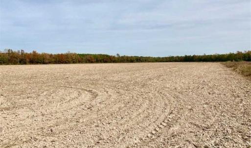 Photo of UNDER CONTRACT!!  90.1 Acres of Farm and Timber Land For Sale in Craven County NC!
