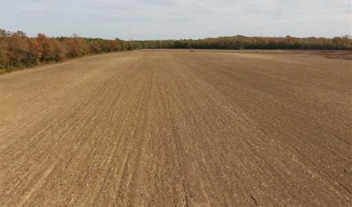 Photo of UNDER CONTRACT!!  90.1 Acres of Farm and Timber Land For Sale in Craven County NC!