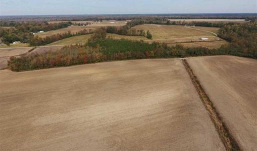 Photo of UNDER CONTRACT!!  90.1 Acres of Farm and Timber Land For Sale in Craven County NC!