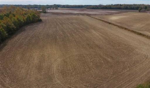 Photo of UNDER CONTRACT!!  90.1 Acres of Farm and Timber Land For Sale in Craven County NC!