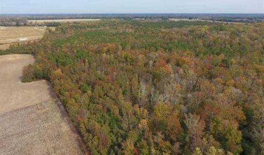 Photo of UNDER CONTRACT!!  90.1 Acres of Farm and Timber Land For Sale in Craven County NC!