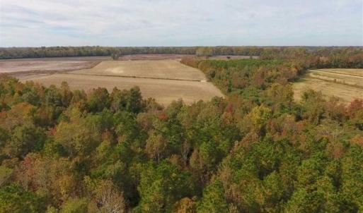 Photo of UNDER CONTRACT!!  90.1 Acres of Farm and Timber Land For Sale in Craven County NC!