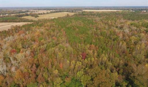 Photo of UNDER CONTRACT!!  90.1 Acres of Farm and Timber Land For Sale in Craven County NC!