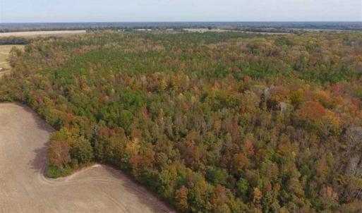 Photo of UNDER CONTRACT!!  90.1 Acres of Farm and Timber Land For Sale in Craven County NC!