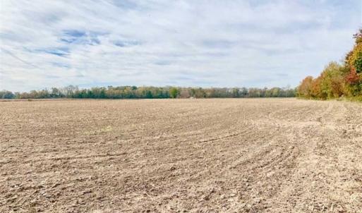 Photo of UNDER CONTRACT!!  90.1 Acres of Farm and Timber Land For Sale in Craven County NC!
