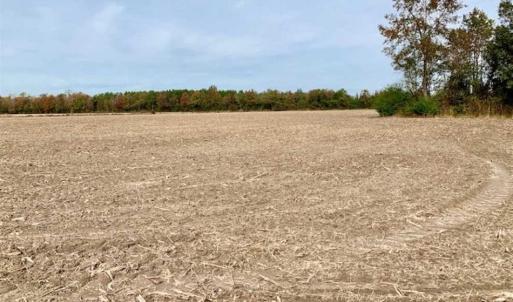 Photo of UNDER CONTRACT!!  90.1 Acres of Farm and Timber Land For Sale in Craven County NC!