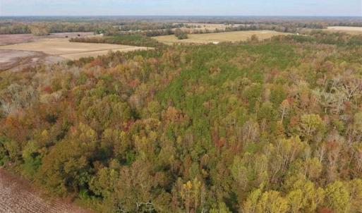 Photo of UNDER CONTRACT!!  90.1 Acres of Farm and Timber Land For Sale in Craven County NC!