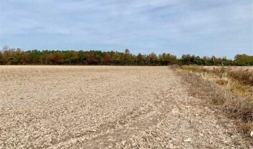 Photo of UNDER CONTRACT!!  90.1 Acres of Farm and Timber Land For Sale in Craven County NC!