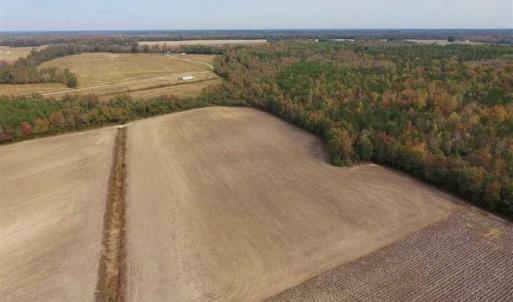 Photo of UNDER CONTRACT!!  90.1 Acres of Farm and Timber Land For Sale in Craven County NC!