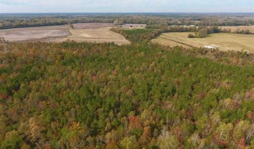 Photo of UNDER CONTRACT!!  90.1 Acres of Farm and Timber Land For Sale in Craven County NC!