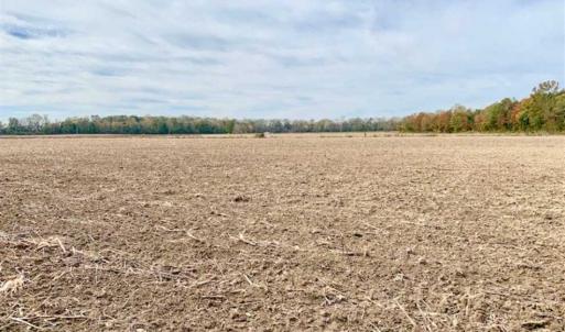 Photo of UNDER CONTRACT!!  90.1 Acres of Farm and Timber Land For Sale in Craven County NC!