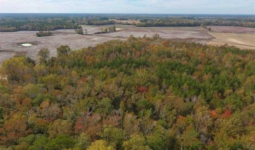 Photo of UNDER CONTRACT!!  90.1 Acres of Farm and Timber Land For Sale in Craven County NC!