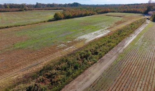 Photo of SOLD!!  20.68 Acres of Farm and Hunting Land For Sale in Craven County NC!