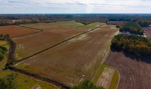 Photo of SOLD!!  20.68 Acres of Farm and Hunting Land For Sale in Craven County NC!