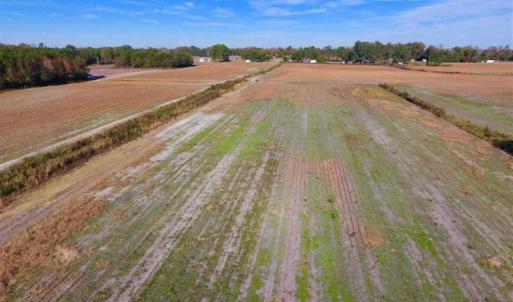 Photo of SOLD!!  20.68 Acres of Farm and Hunting Land For Sale in Craven County NC!