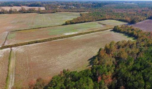 Photo of SOLD!!  20.68 Acres of Farm and Hunting Land For Sale in Craven County NC!
