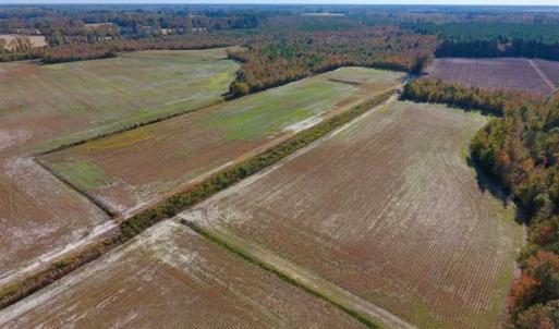 Photo of SOLD!!  20.68 Acres of Farm and Hunting Land For Sale in Craven County NC!