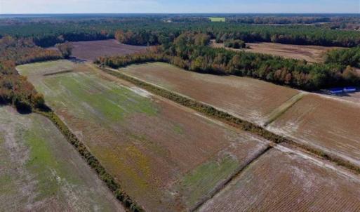 Photo of SOLD!!  20.68 Acres of Farm and Hunting Land For Sale in Craven County NC!