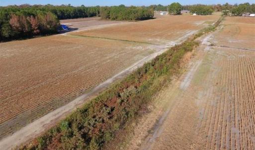 Photo of SOLD!!  20.68 Acres of Farm and Hunting Land For Sale in Craven County NC!