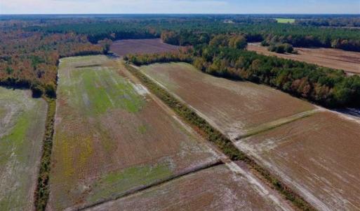 Photo of SOLD!!  20.68 Acres of Farm and Hunting Land For Sale in Craven County NC!