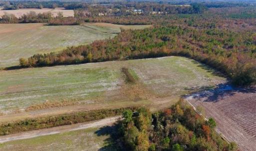 Photo of SOLD!!  20.68 Acres of Farm and Hunting Land For Sale in Craven County NC!