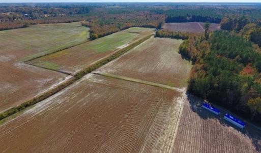 Photo of SOLD!!  20.68 Acres of Farm and Hunting Land For Sale in Craven County NC!