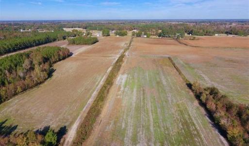 Photo of SOLD!!  20.68 Acres of Farm and Hunting Land For Sale in Craven County NC!