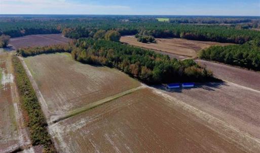 Photo of SOLD!!  20.68 Acres of Farm and Hunting Land For Sale in Craven County NC!