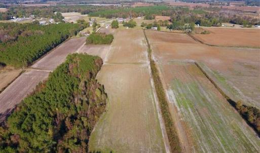Photo of SOLD!!  20.68 Acres of Farm and Hunting Land For Sale in Craven County NC!